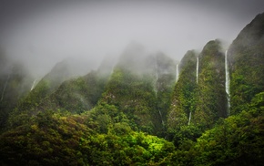 forest, nature, mist, landscape, mountain, waterfall