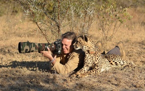 animals, nature, camera, photographers, camouflage, savannah