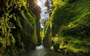 nature, Sun, trees, clouds, river, sun rays