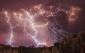 nature, storm, forest, photography, lightning