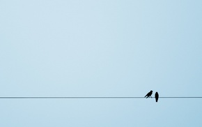 animals, simple background, silhouette, crow, ropes, birds