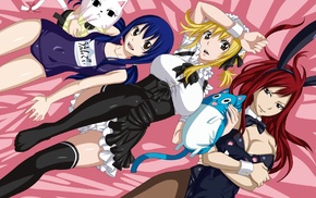 Marvell Wendy, Scarlet Erza, Heartfilia Lucy, Fairy Tail