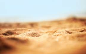 sand, depth of field, nature, macro