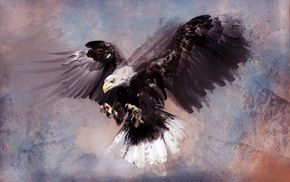 artwork, eagle