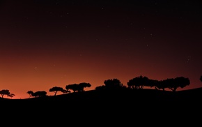 night, stars, trees, silhouette, minimalism