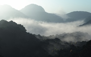 mountain, nature, forest