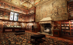 fireplace, books, Manhattan, library, carpets, painting