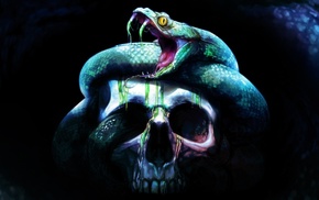 Neverwinter Nights, artwork, Neverwinter Nights 2 Storm of Zehir, skull