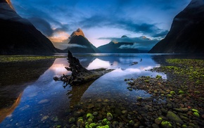 moss, stones, nature, water, New Zealand, reflection