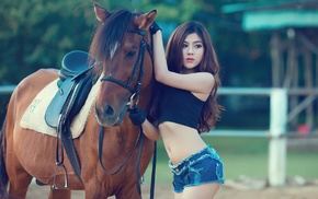 jean shorts, vietnamese, brunette, girl, horse, animals