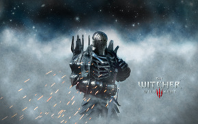 The Witcher 3 Wild Hunt, The Witcher