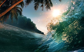 nature, landscape