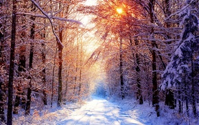 snow