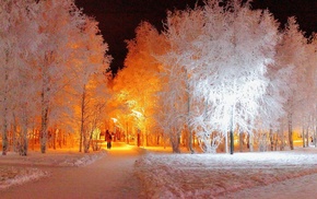 trees, winter, snow