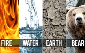 Earth, fire, water, bears, nature, humor