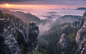 forest, landscape, nature, rock