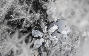 macro, ice