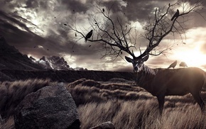 animals, fantasy art