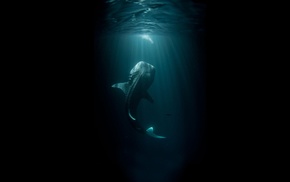 digital art, whale shark