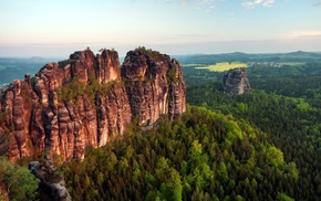 nature, landscape, forest