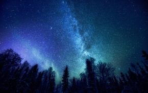 stars, trees, nature, Milky Way