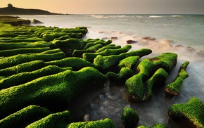 landscape, sea, rock, nature, moss