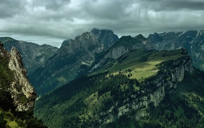 landscape, trees, mountain