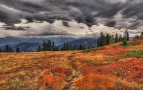 path, landscape, field, mountain