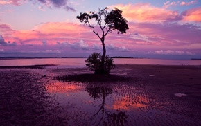 reflection, sunset, water, trees, landscape, sand