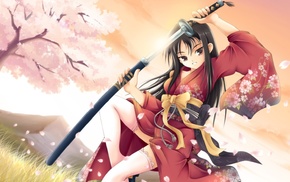 warrior, traditional clothing, sword, thigh, highs, anime girls