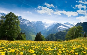 mountain