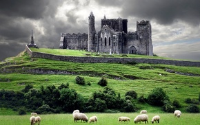 landscape, HDR, sheep, castle