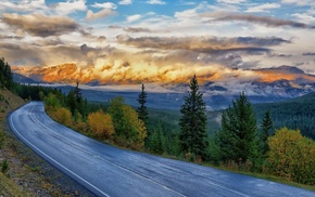 road, landscape