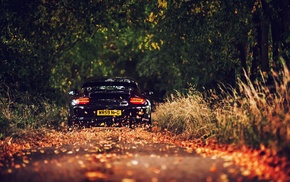 Porsche 911, leaves, Porsche