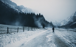 mountain, pine trees, road, snow