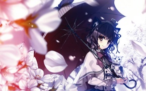 umbrella, original characters, animal ears, cat, Misaki Kurehito, flowers