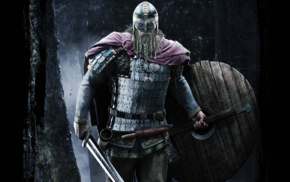 shields, Vikings
