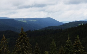 landscape, forest, mountain, green