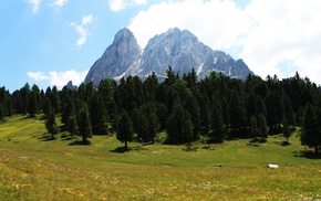 mountain, landscape, green, forest