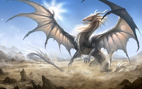 fantasy art, dragon