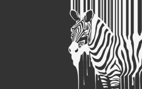 minimalism, zebras