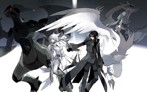 black, Pokemon, Reshiram, white, Zekrom