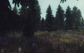 The Elder Scrolls V Skyrim, landscape