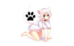 nekomimi, anime girls