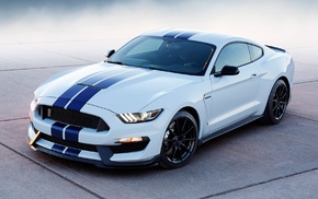 Ford Mustang Shelby, car, Shelby GT 350