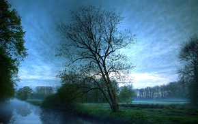 mist, landscape, nature, trees