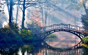river, bridge, forest, trees, reflection