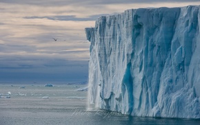 sea, nature, ice