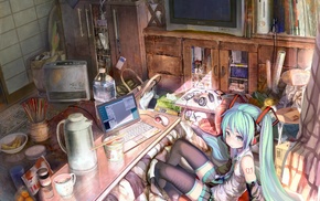 Hatsune Miku, Vocaloid, anime girls, detailed, computer