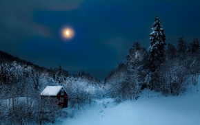 winter, mist, night, moon, nature, landscape